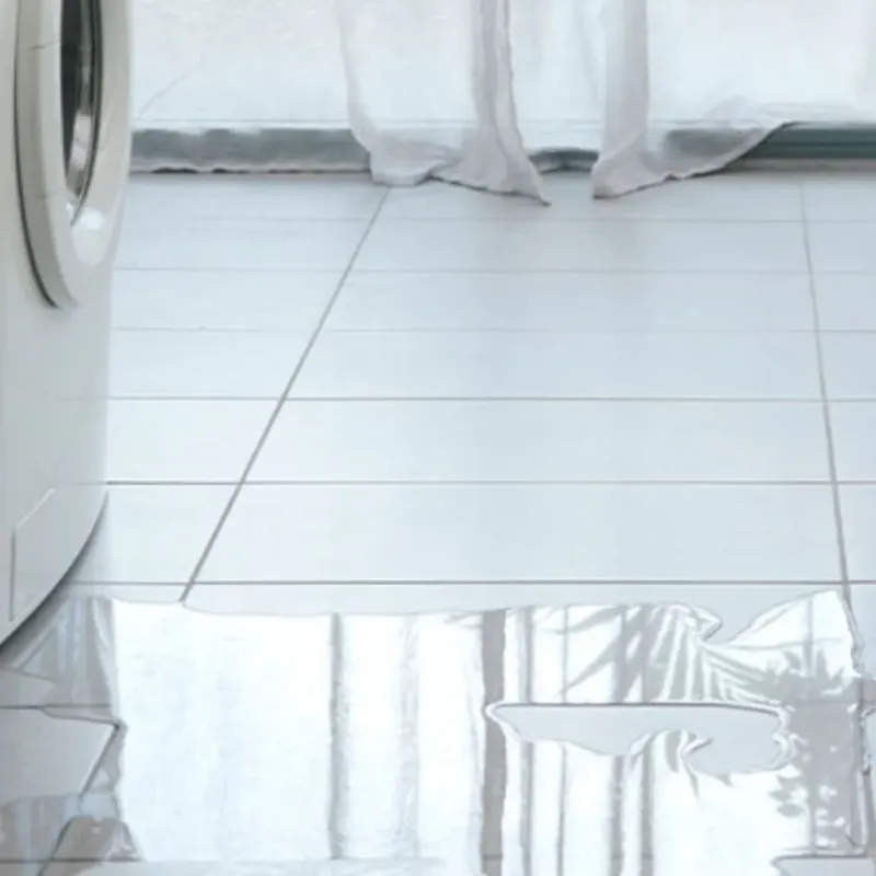 Appliance Leak Cleanup in Lionville, PA