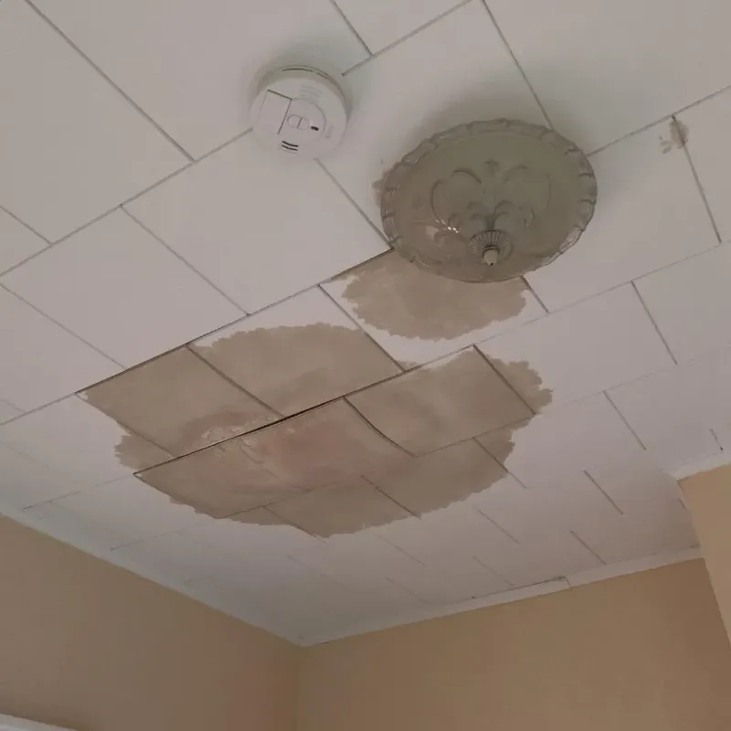 Ceiling Water Damage Repair in Lionville, PA