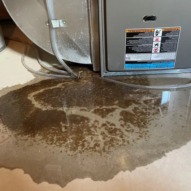 Pipe Burst and Leak Restoration in Lionville, PA